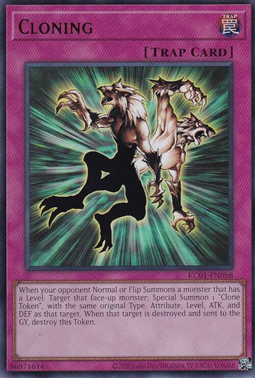 producto relacionado