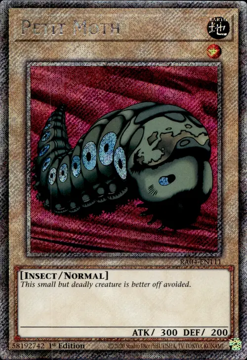 producto relacionado