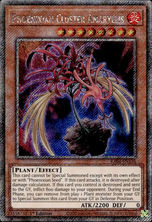 producto relacionado