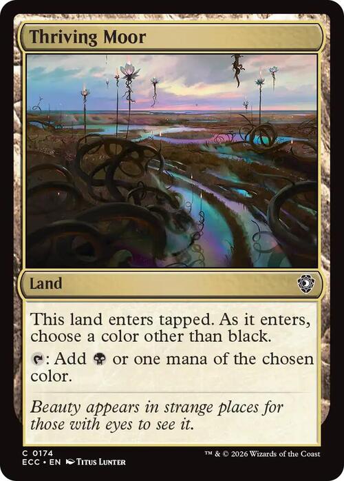 producto relacionado