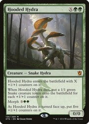 Hooded Hydra