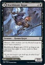 Blackbloom Rogue // Blackbloom Bog