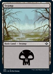 Swamp