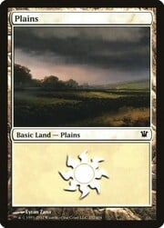 Plains