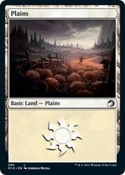 Plains