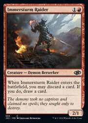 Immersturm Raider