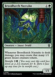 Broodhatch Nantuko