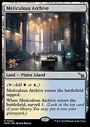 Meticulous Archive