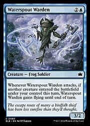 Waterspout Warden