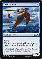 Tide Skimmer