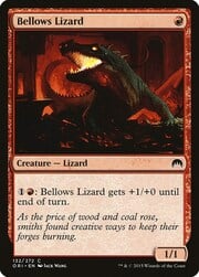 Bellows Lizard