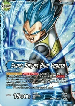 Vegeta // Super Saiyan Blue Vegeta Parte Posterior