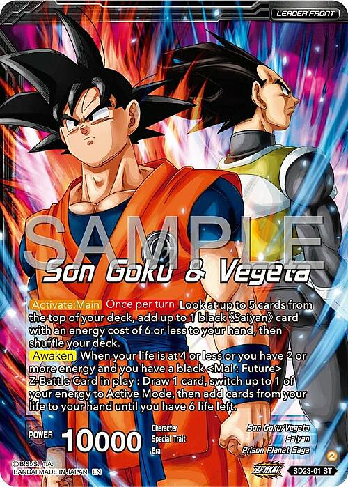 Son Goku & Vegeta // SSB Vegito, Shining Warrior Parte Posterior