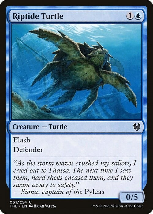 Tartaruga della Marea Card Front