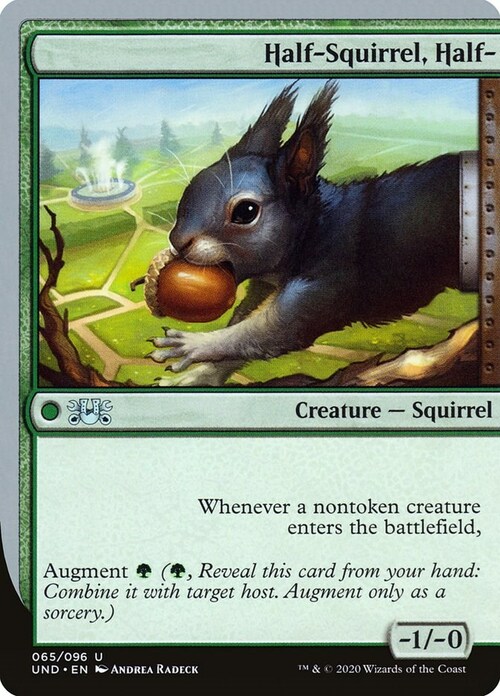 Half-Squirrel, Half- Card Front