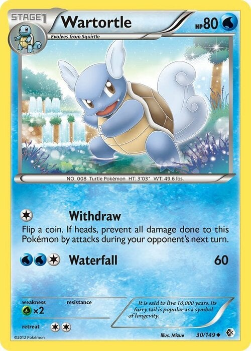 Wartortle Card Front