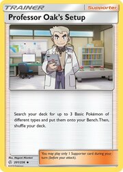 Allestimento del Professor Oak