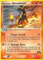 Team Magma's Houndoom