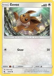 Eevee [Gnaw]