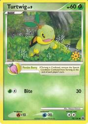Turtwig Lv.9