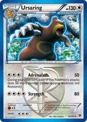 Ursaring [Adrenalash | Strength]