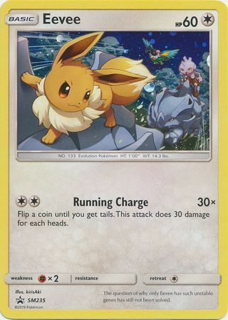 Eevee [Running Charge] Frente