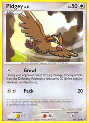 Pidgey Lv.8