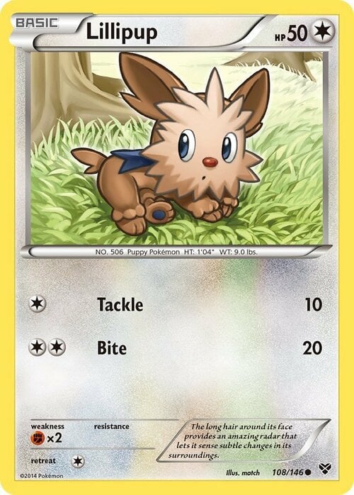 Lillipup Frente