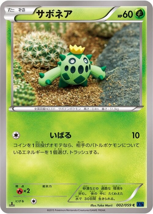 Cacnea Card Front