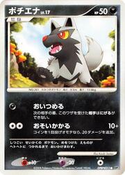 Poochyena Lv.17