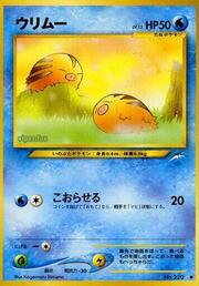 Swinub LV.13
