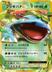 Venusaur EX