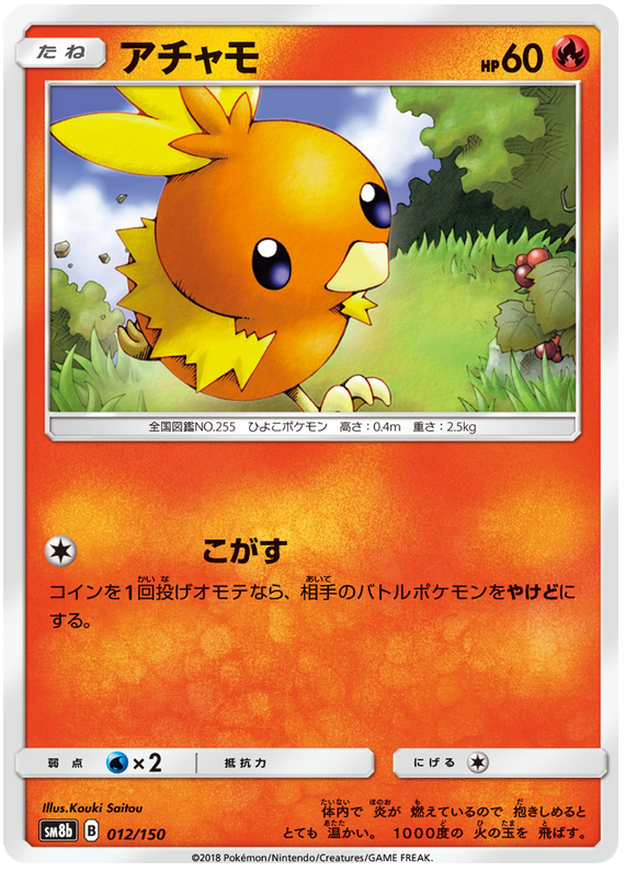 shiny torchic pokemon x