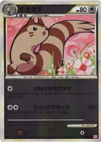 Furret Frente