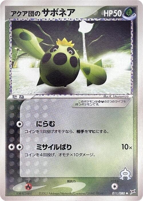 Team Aqua's Cacnea Card Front