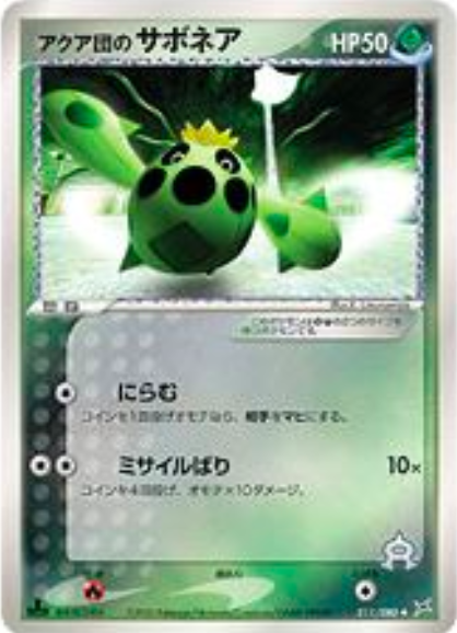 Team Aqua's cacnea Card Front