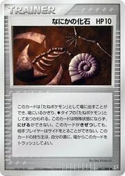 Mysterious Fossil