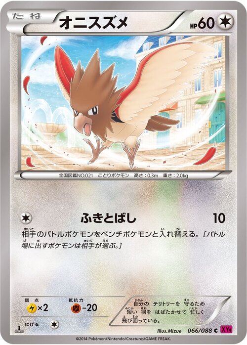 Spearow Card Front