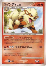 Arcanine Lv.48