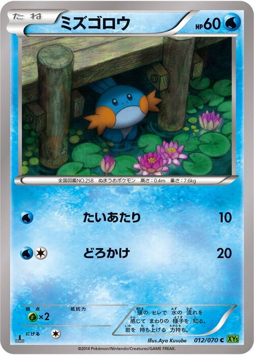 Mudkip Card Front