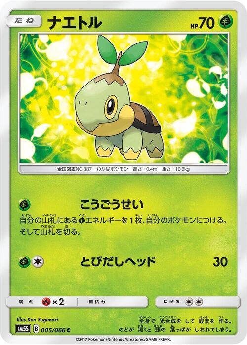 Turtwig Card Front