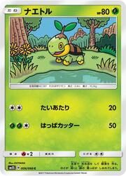 Turtwig