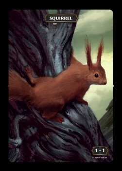 Squirrel Card Front