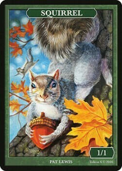 Squirrel Card Front