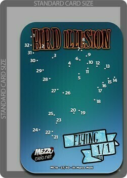 Bird Illusion Frente