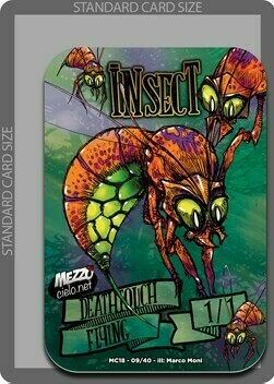 Insect Card Front