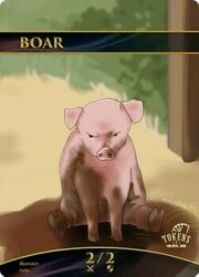 Boar