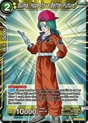 Bulma, Hope for a Better Future