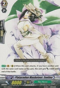 Platycodon Musketeer, Evelina [G Format] Frente