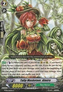 Tulip Musketeer, Almira Card Front